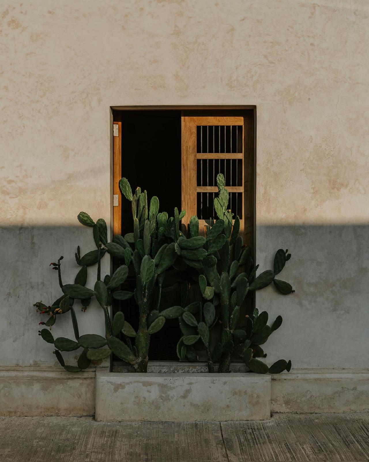 Casona Los Cedros Espita Exterior photo